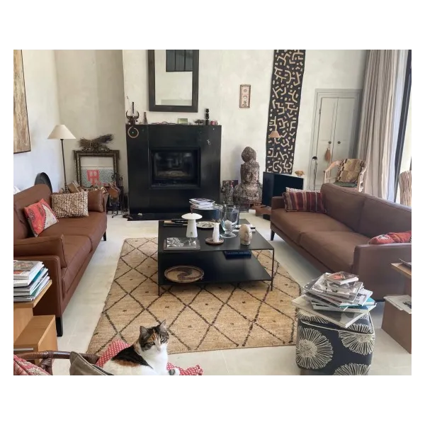 Un Salon Dans Un Ancien  Mas Provençal