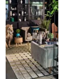 Collection Linea